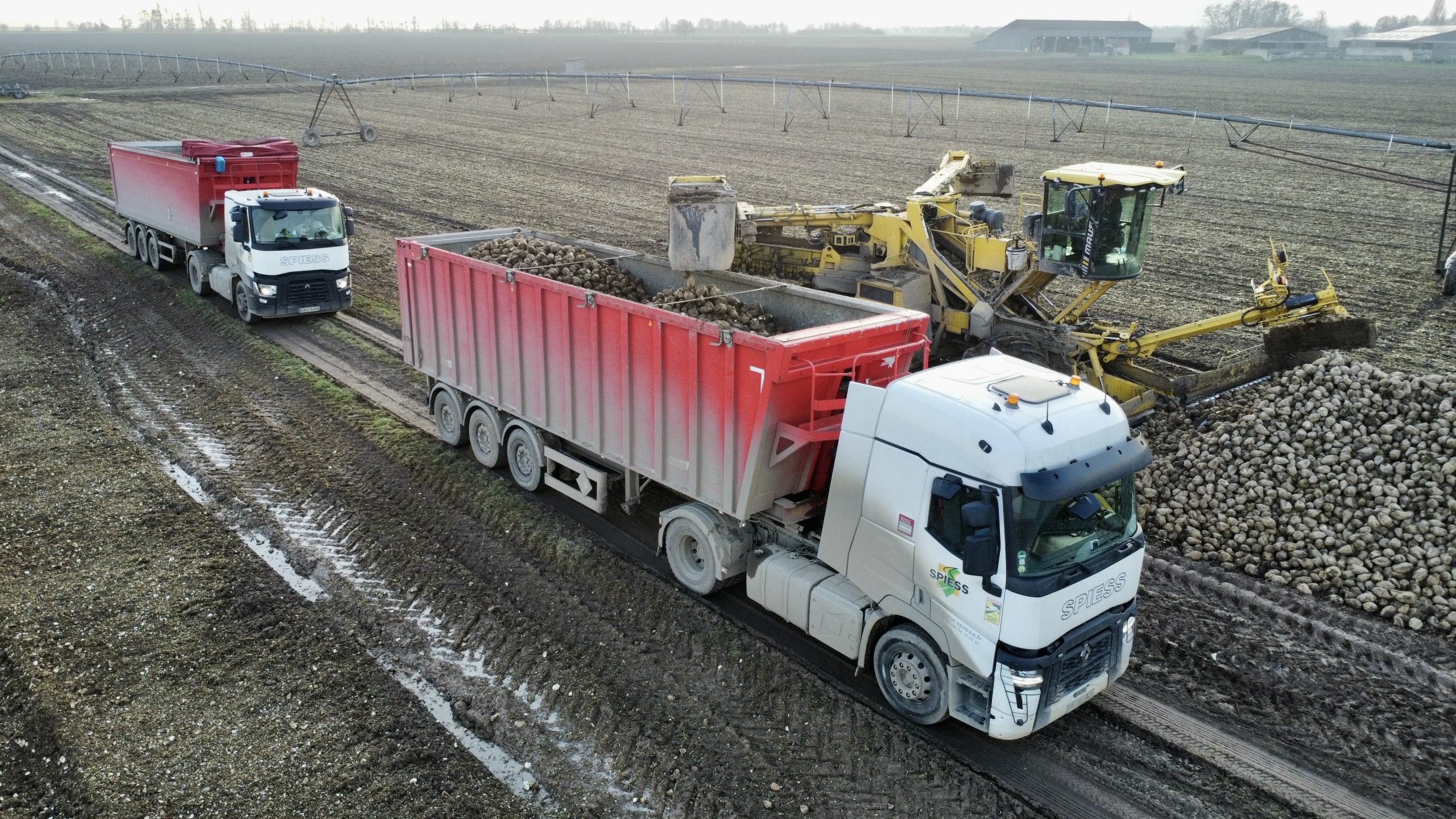 Responsable d’exploitation Transport & Location (H/F)